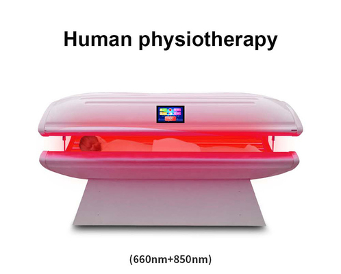 Mua Giảm đau PDT Liệu pháp ánh sáng đỏ Giường Photon trị liệu để làm trắng cơ thể sản xuất trực tuyến