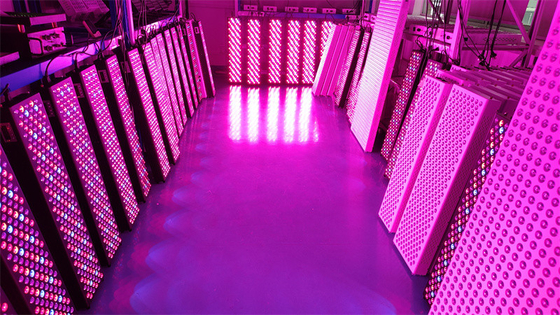Mua High Power 1000W Full Body Red Light Therapy Panel với phạm vi tần số 50Hz-60Hz và góc chùm 60 ° sản xuất trực tuyến