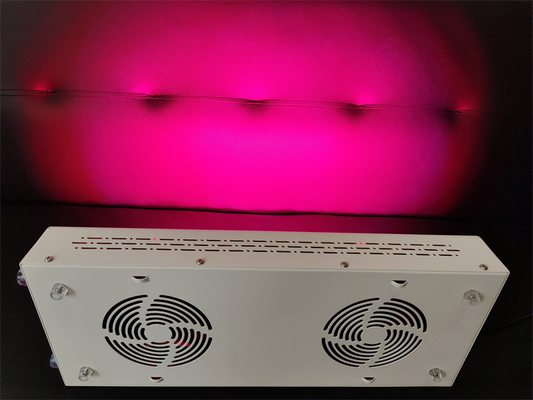 Mua 600w chăm sóc cơ thể thiết bị trị liệu ánh sáng đỏ màu đỏ Nir quang phổ tùy chỉnh cho làn da hoàn hảo sản xuất trực tuyến