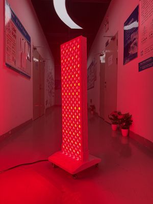 Mua High Power 2000W Red + Near Infrared Light Panel – OEM Factory with Pulse Mode & Brightness Control sản xuất trực tuyến