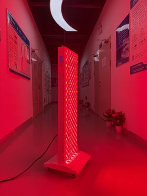 Mua OEM Factory Supply 2000W Red Light Therapy Panel – 630/660/810/830/850nm Wavelength Options sản xuất trực tuyến