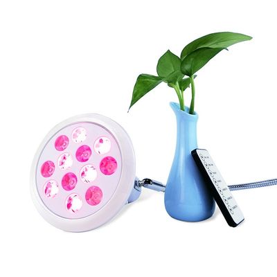 Mua Thiết bị trị liệu bằng ánh sáng đỏ di động 3 inch E27 Đèn hồng ngoại gần sản xuất trực tuyến