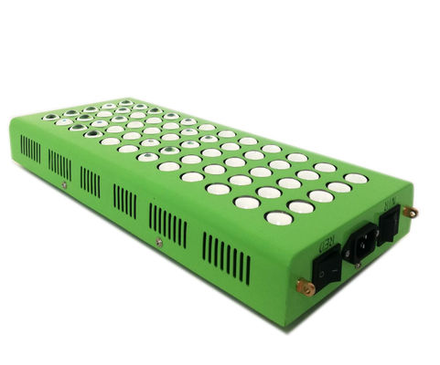 Mua 300w 660nm 850nm Liệu pháp ánh sáng hồng ngoại chống lão hóa cho chứng đau đầu gối sản xuất trực tuyến