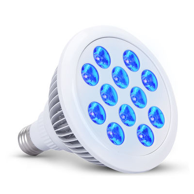 Mua Trị liệu bằng ánh sáng xanh y tế 660nm 850nm ở trẻ sơ sinh sản xuất trực tuyến