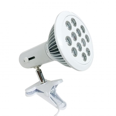 Mua Ổ cắm E27 Bóng đèn Led đỏ 36W Đèn trị liệu 660nm 850nm Liệu pháp ánh sáng đỏ sản xuất trực tuyến