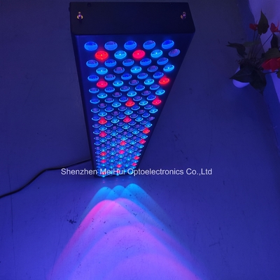 NIR Light Red Light Thiết bị trị liệu da cho sử dụng tại nhà 1000W 9 màu