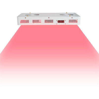 Vật lý trị liệu hồng ngoại cấp 2 trong 1 y tế 660nm 850 Nanomet