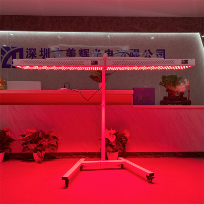 Tên