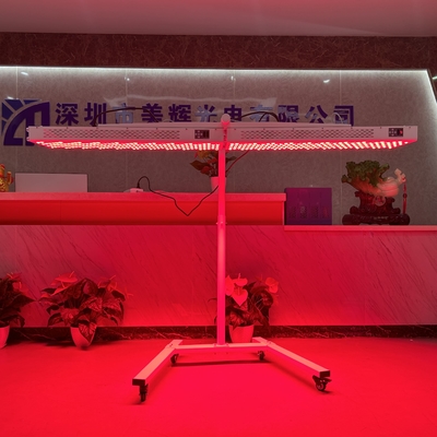 Tên