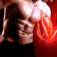 600W Home Ues Thiết bị trị liệu bằng ánh sáng hồng ngoại gần LED Hợp kim nhôm 1