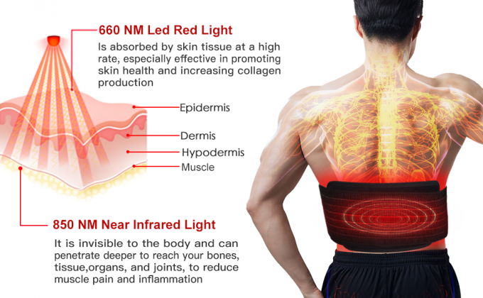Máy trị liệu bằng ánh sáng LED 850nm giảm cân Đai quấn cơ thể bằng ánh sáng hồng ngoại 0