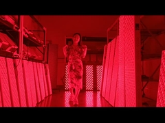 Bảng trị liệu bằng ánh sáng đỏ 3000w