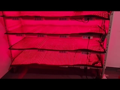 Ưu tiên 660nm 850nm trị liệu ánh sáng đỏ 120pcs thiết bị giảm cân LED