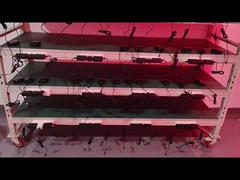 Chiếc đai trị liệu ánh sáng đỏ 660nm 850nm