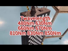 Máy trị liệu bằng ánh sáng đỏ AC 660nm 850nm Giảm đau cho mục đích sử dụng cá nhân