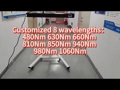 Liệu pháp ánh sáng LED toàn thân 660nm 850nm 1000w Sử dụng cho gia đình và thương mại